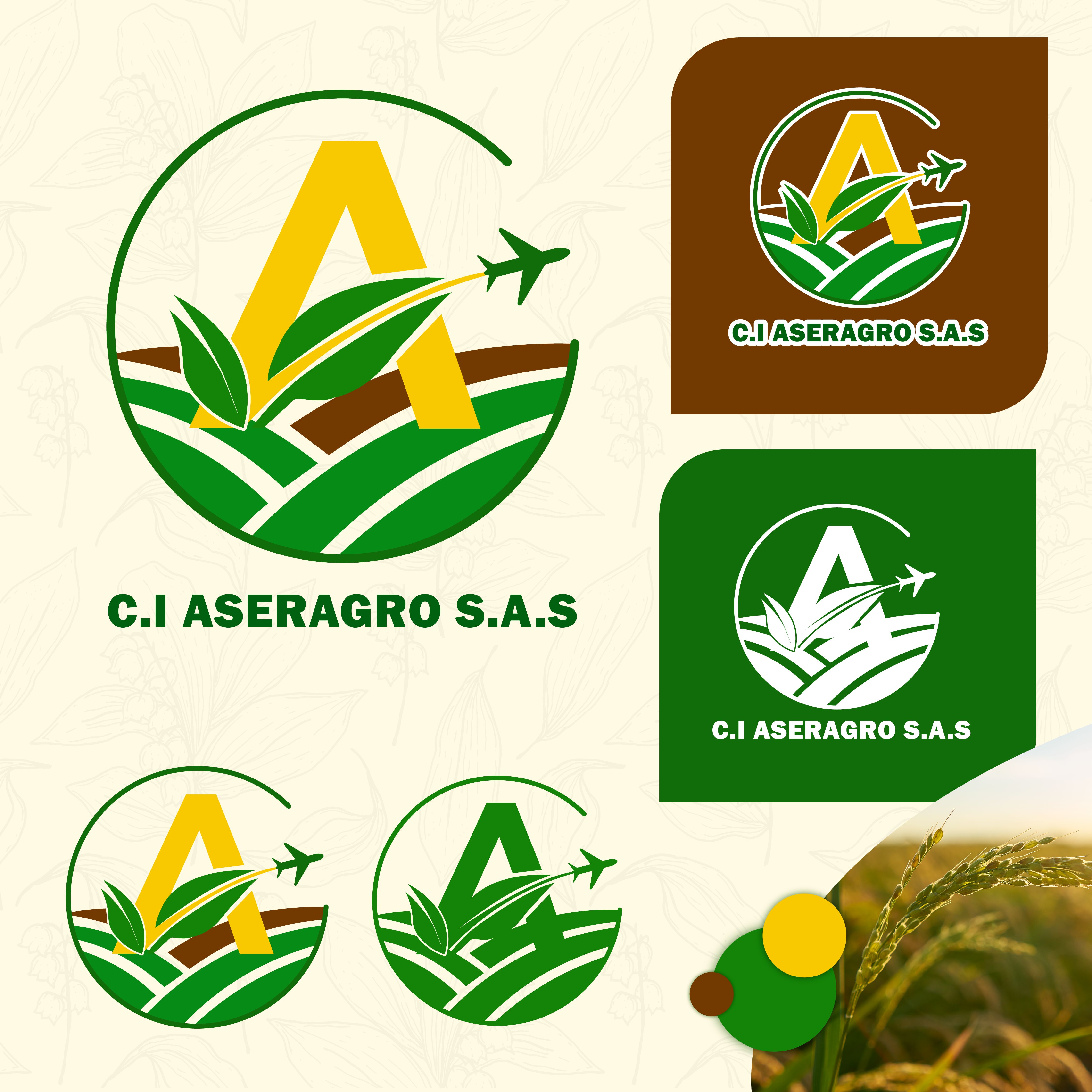 Diseño de logo y marca para ci aseragro sas
